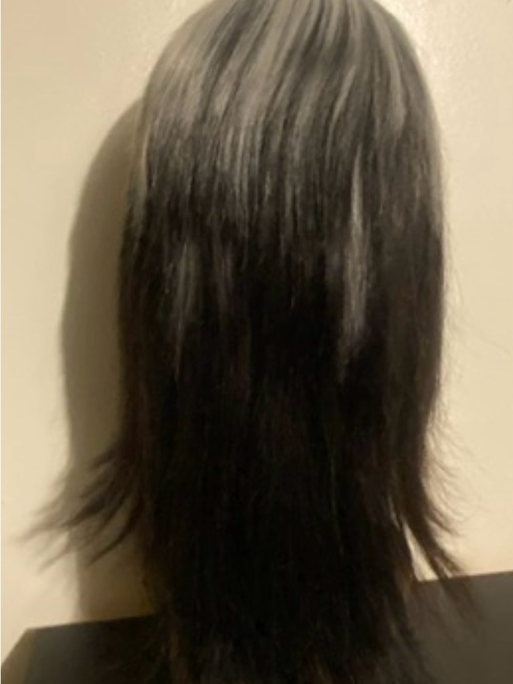 Chinese bang Black and Gray Layered Women's Wig - Classic Straight Style